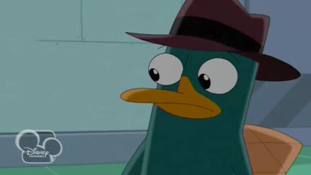 File:PerryShocked.jpg