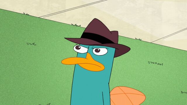 File:Perry staring at Doof.jpg