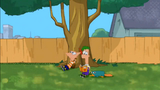 PF under a tree