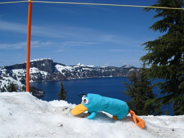 File:Perry at Crater Lake.jpg