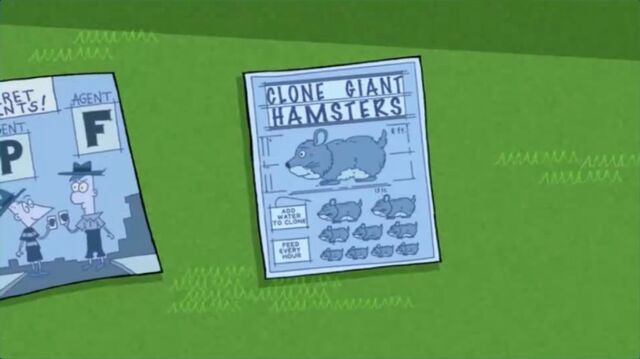 File:Clone giant hamsters.jpg