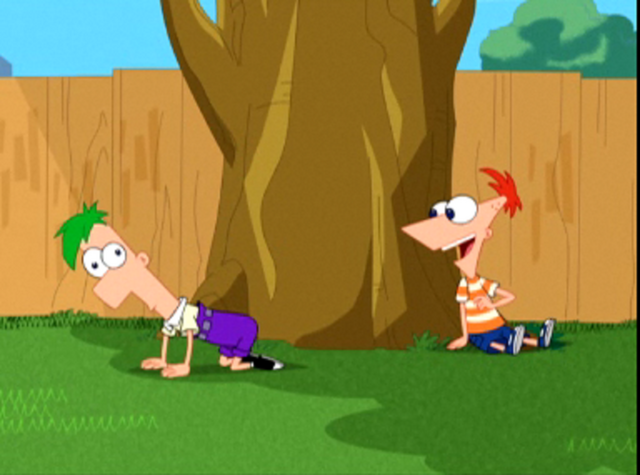 File:Ferb Latin pic.png
