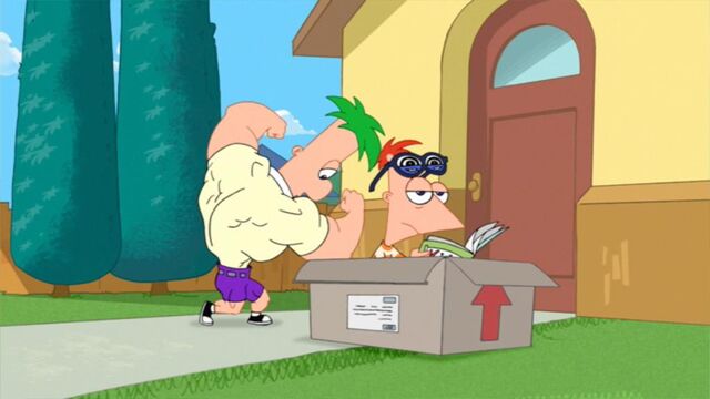 File:Ferb flexes muscles.jpg