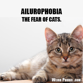 Ailurophobia