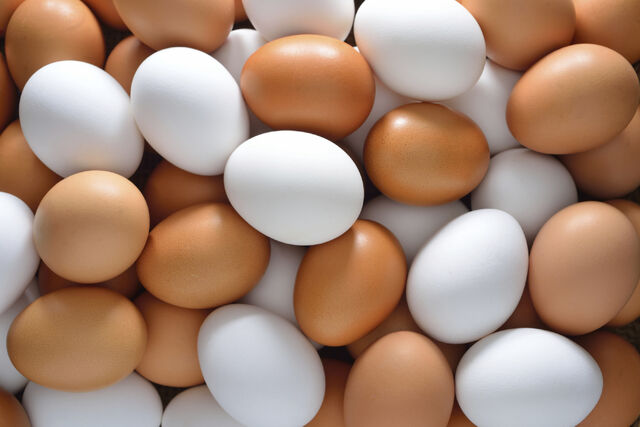 File:Egg.jpg