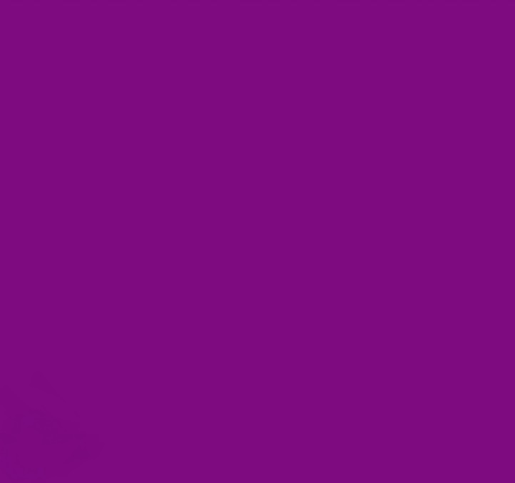 The Color Violet 5