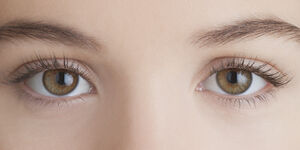 Eye