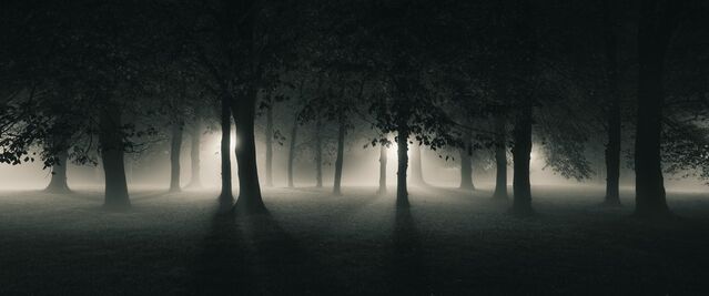 File:Dark Forest.jpg