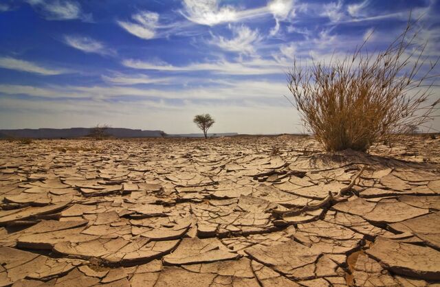 File:Dryness.jpg