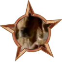 File:Badge-1-0.png