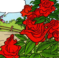 Roses.png