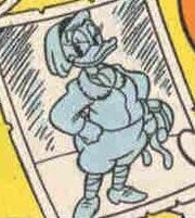 Pepitapropella2