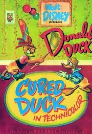 Cured duck.jpg