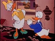 Wdt-donald-61.jpg