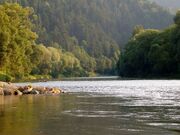 Dunajec Szczawnica.jpg