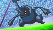 Karter's Heracross