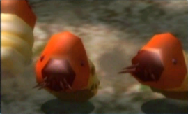 Voraz Oruga Mostachona.png