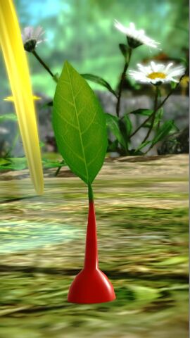 File:Leaf.jpg