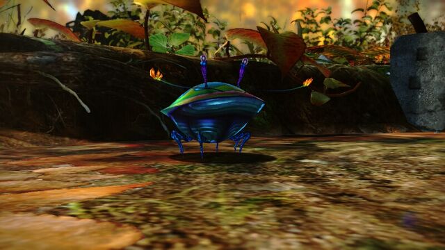 File:FlintBeetle.jpeg