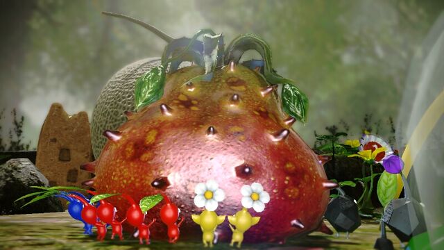 File:QuaggledMireclopsCorpse-Pikmin3.jpg