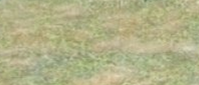 Grassterrain