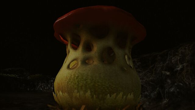 File:Kingcap.jpeg