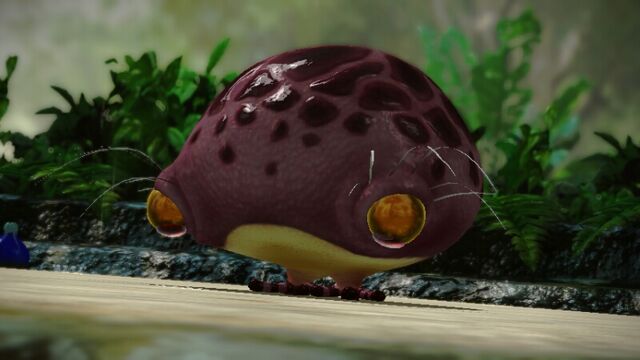 File:00UnknownFrog2.jpg