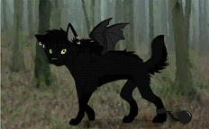 Wilk.gif