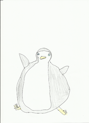 Aqua Infdla