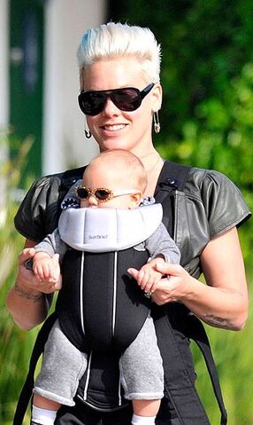 File:Pink willow sunglasses.jpeg