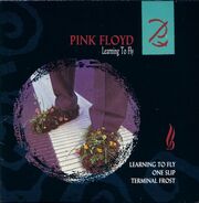 Learning To Fly Single