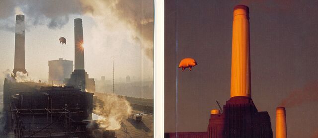 File:Discovery Set Animals-Inner Sleeve.jpg