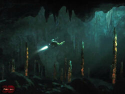 Piranha-3d-ipad-wallpapers-overallsite