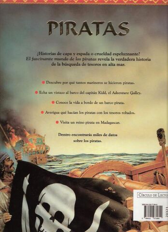 Archivo:Piratas Steel2.jpg