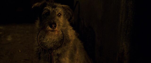 File:CotBPPrisonDogStare.jpg