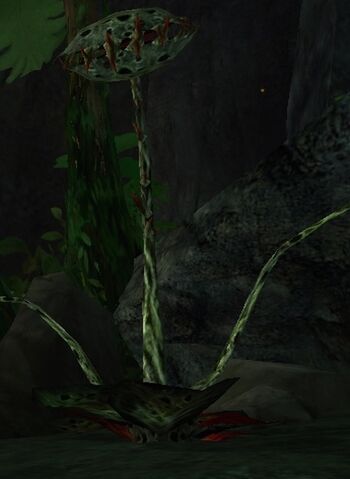 File:Flytrap.jpg