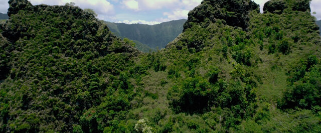 File:OSTJunglehills.jpg