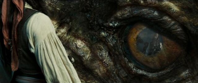 File:Kraken eye.jpg