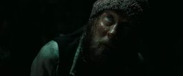 The Irish Man