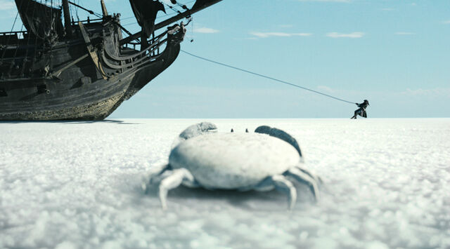 File:AWEILMCrabWatchingJack.jpg