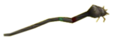 File:Staff5.png