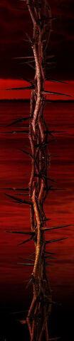 File:CursedPiratesThorns.jpg