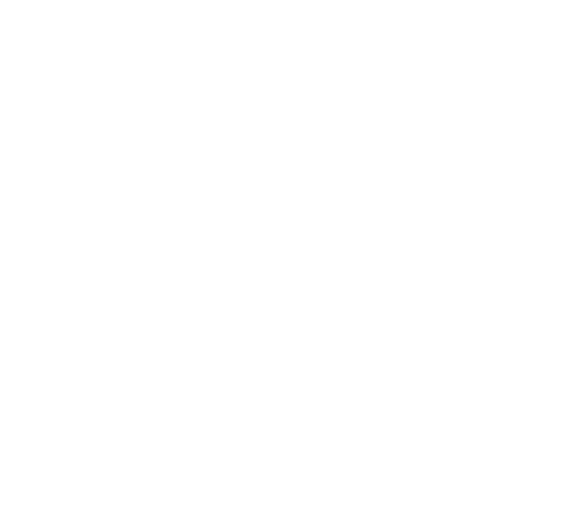 File:SkullEmblemWhite.png