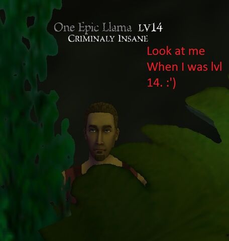 File:Screenshot 2013-03-27 16-27-561.jpg