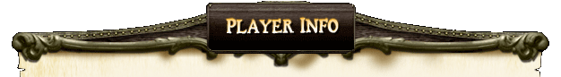 PlayerInfoTop