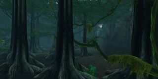 Woods