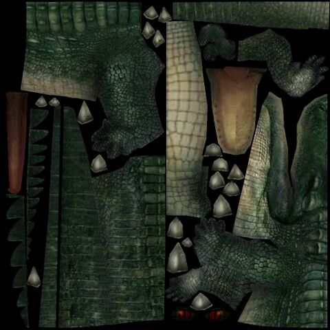 File:Alligator.jpg