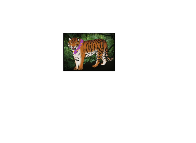 File:A cat.png