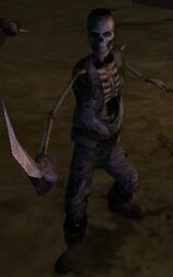 Undead Executioner