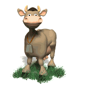 Image result for animated gif cow moo